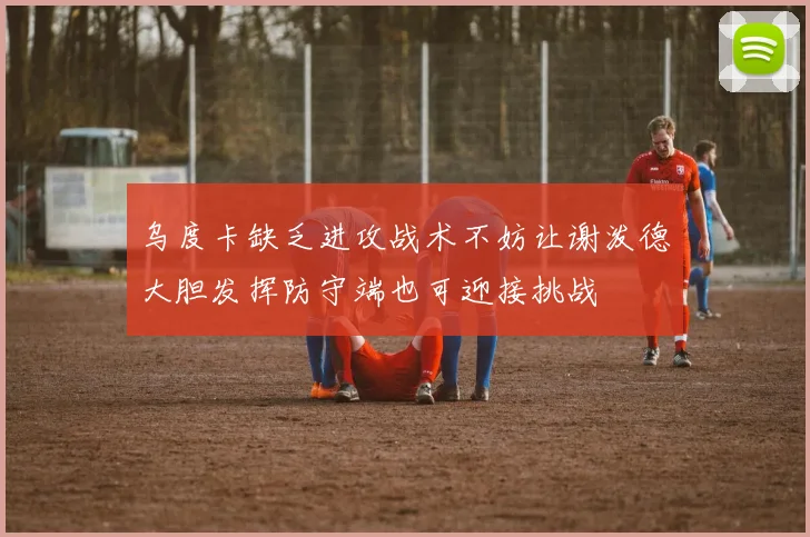 乌度卡缺乏进攻战术不妨让谢泼德大胆发挥防守端也可迎接挑战