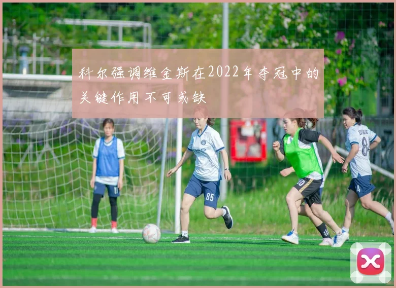 科尔强调维金斯在2022年夺冠中的关键作用不可或缺